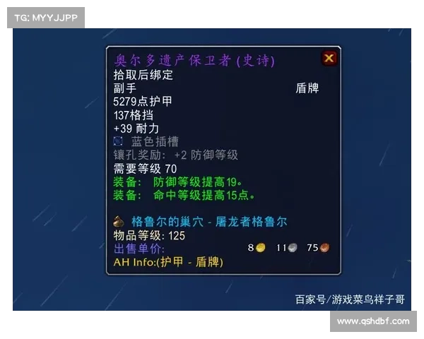 魔兽世界战士盾牌：战场中的无敌屏障